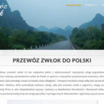 przewozzwlok.eu - banner